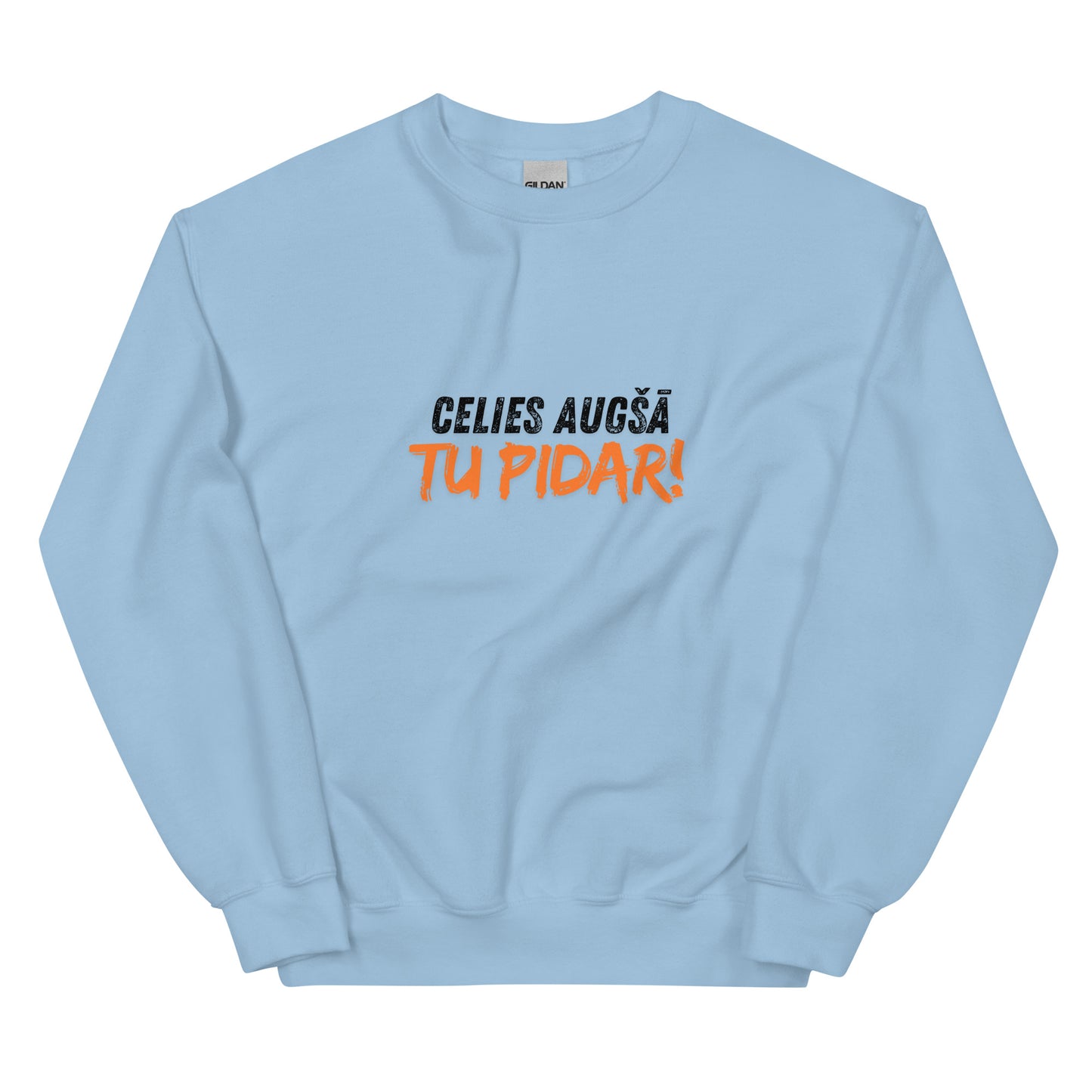 Celies augšā, tu pidar! Džemperis